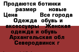 Продаются ботинки Baldinini, размер 37,5 новые › Цена ­ 7 000 - Все города Одежда, обувь и аксессуары » Женская одежда и обувь   . Архангельская обл.,Северодвинск г.